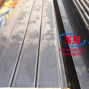 THÉP HỘP 150X250X11.75