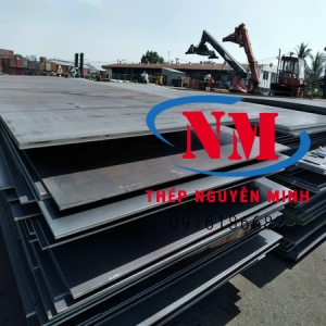 Thép tấm S460M